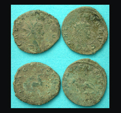 Gallienus Zoo, Pegasus and Panther, Oh My!